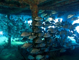 Wreck of the C58 IIMG 3290